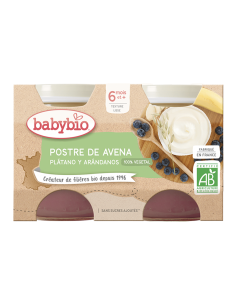 POSTRE DE AVENA, Plátano y Arándanos – 100% Vegetal.