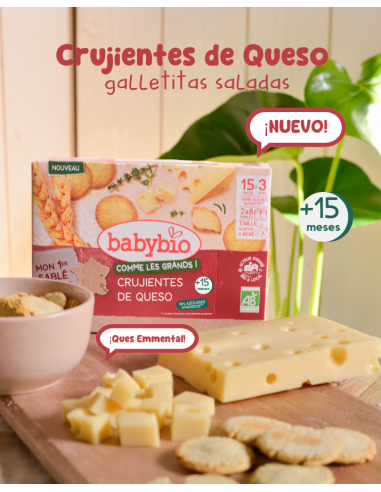 Chips de Queijo - Lanche Saudável