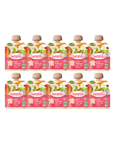 Pack 10x Pouch Kiwi, Mango y Leche de Coco