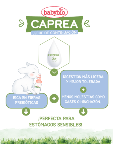 CAPREA 2: Leite de cabra. Fórmula de continuação