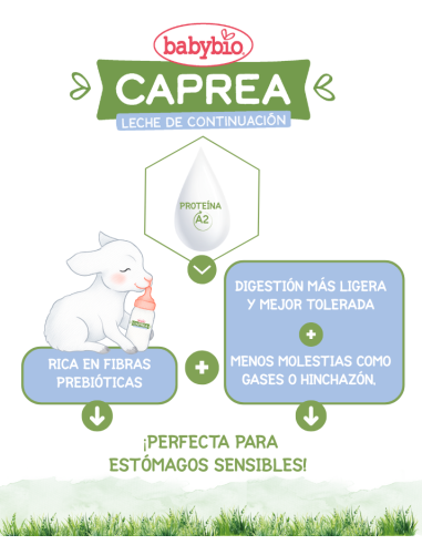 CAPREA 1: Leite de cabra. Fórmula infantil