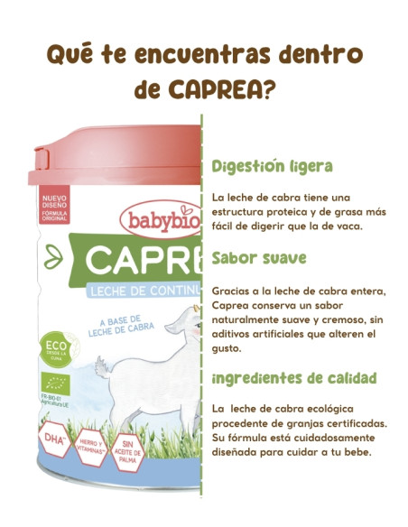 CAPREA 2: Leite de cabra. Fórmula de continuação